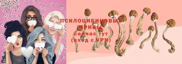 прущий лед Белоозёрский